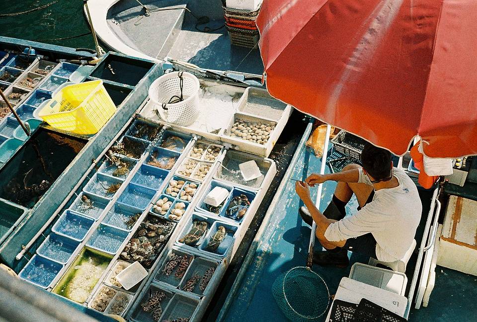 Ronald 穿梭于香港与澳门街头：LomoChrome Classicolor 与 Turquoise 胶片实测