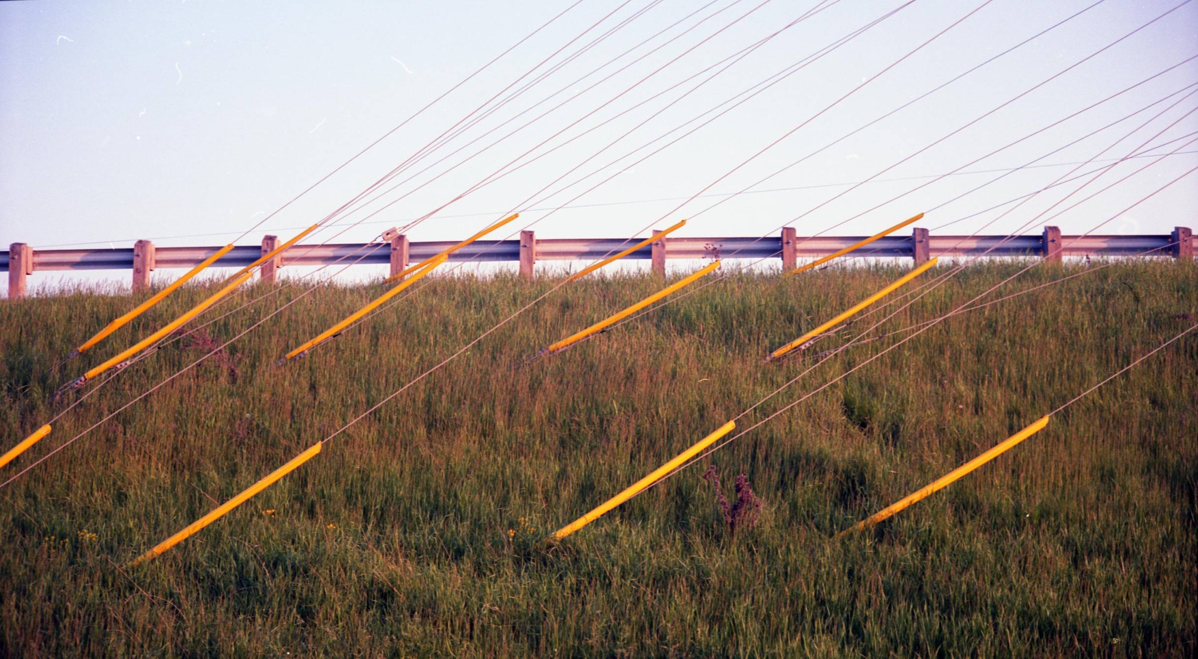 Melmack Guywires — aeroektar · Lomography