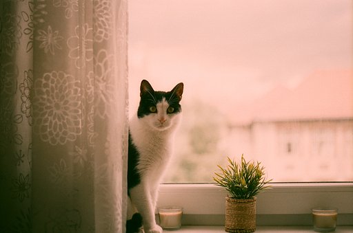 In the Frame: Expired Film