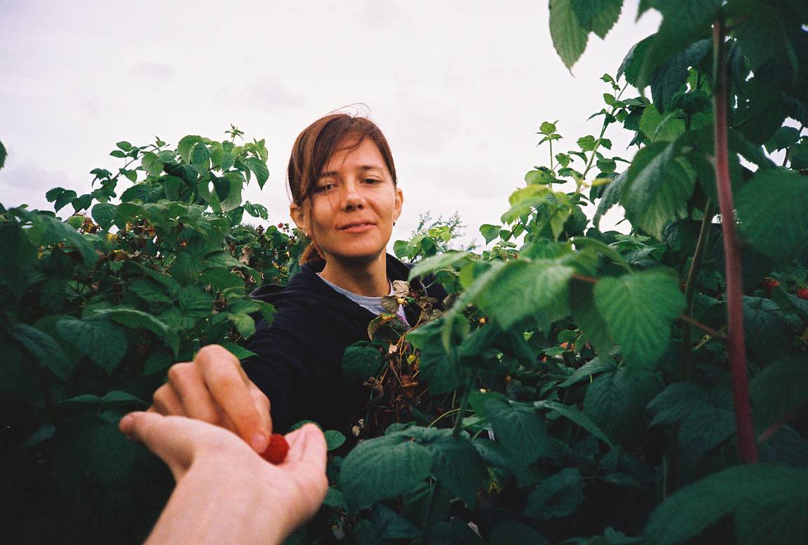 Harvest Season