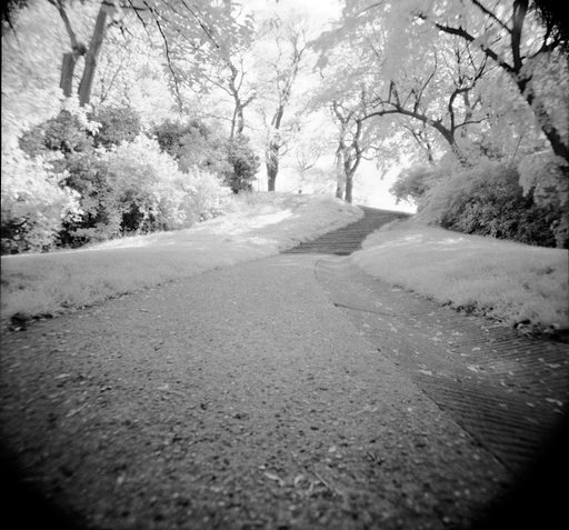 Reviewing the Rollei Infrared 120 ISO 400