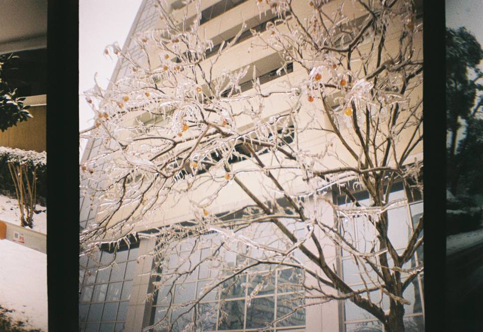 Photo by Hemera