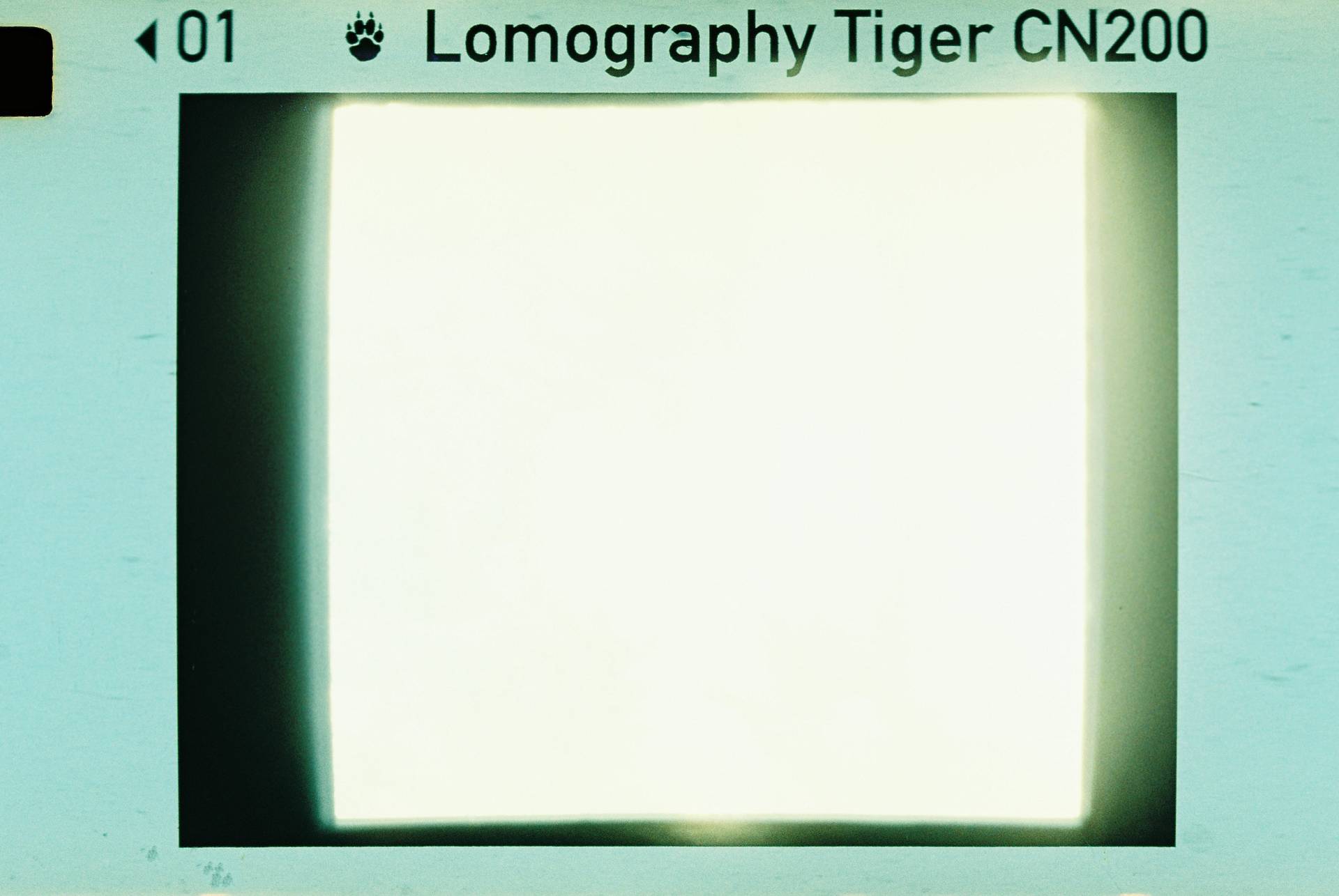 © 炉膛 | Diana Byby 110 胶片相机 &amp; Lomography Color Tiger 200 彩色负片