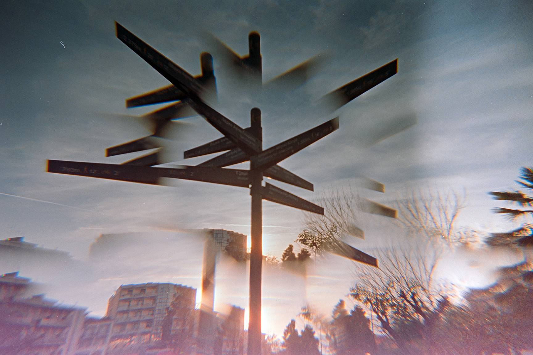 Credits: yellowplusstar、grainreign、panos_nakoudis、fralgeri、wokudu、robertofiuza和bloomchen