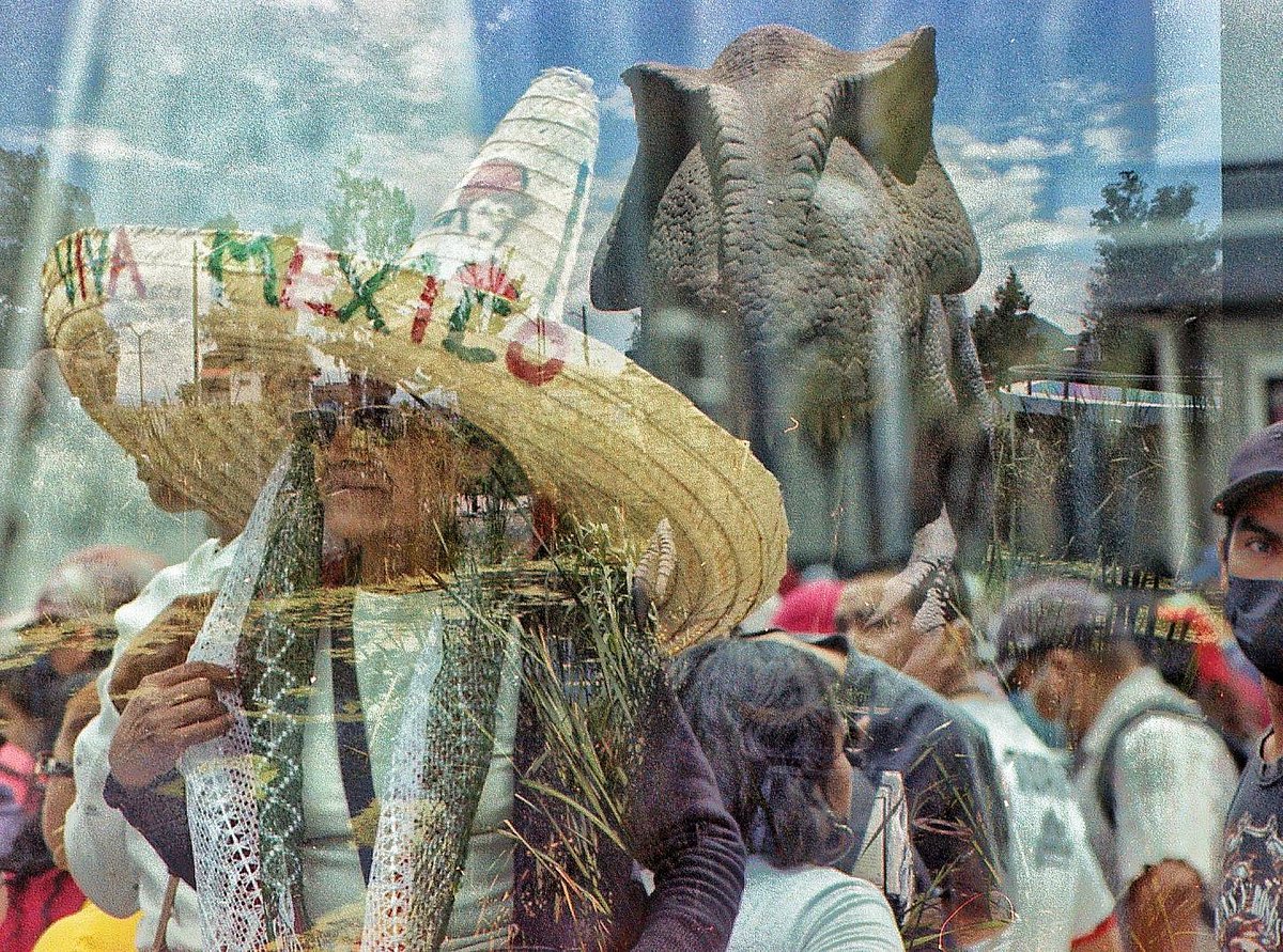 A Photographer's Travel Guide to Mexico City: Best Photo · Lomography