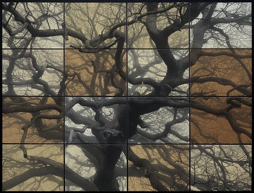 Creators in Focus: Intersecting Material, Time, and Image; Peering Into Taras Perevarukha’s Photographic Process