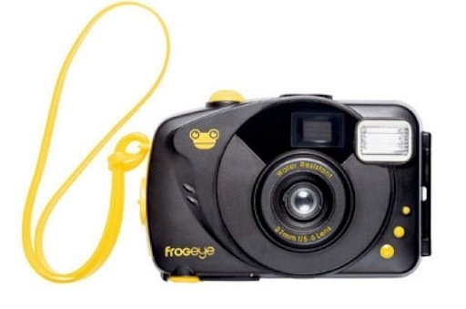 Lomopedia: Lomography Frogeye