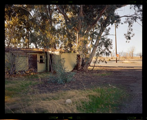 Brendan Flesher on the Art of Shooting with Expired Film