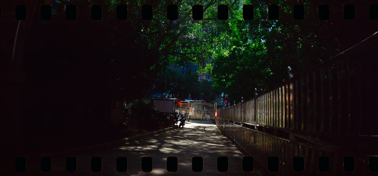 ©雪人大树