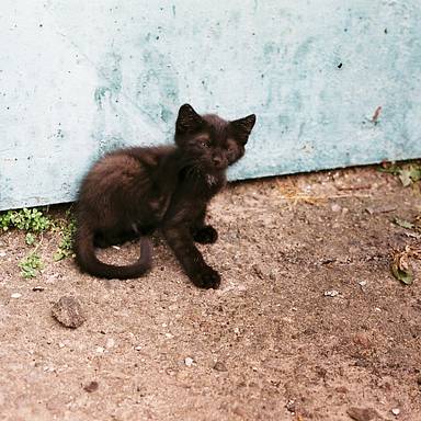 yeris