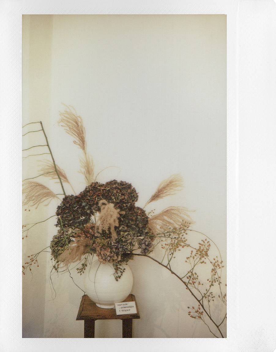 Photos by Isobel Gill