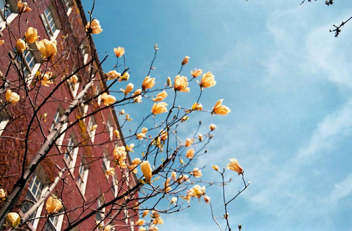 From left to right: photo by twinlensbob,gmushinsky