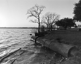 Lens: Mamiya Sekor Z 50mm f/4.5 W · Lomography Lens: Mamiya Sekor Z 50mm f/4.5 W · Lomography