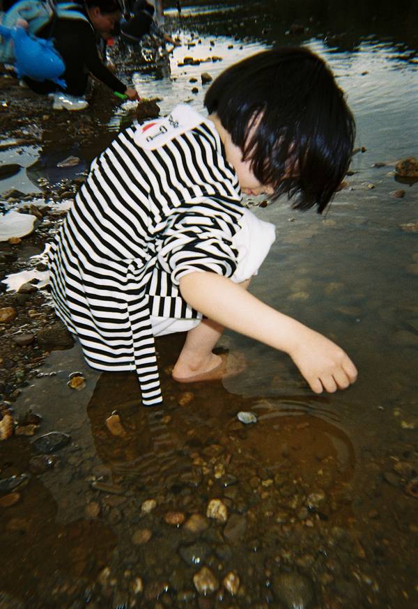 © 雪人大树