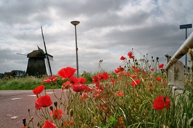 Camera: Nikon Lite Touch Zoom 110s AF · Lomography