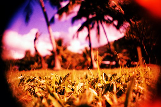 La Sardina Likes it Close-up