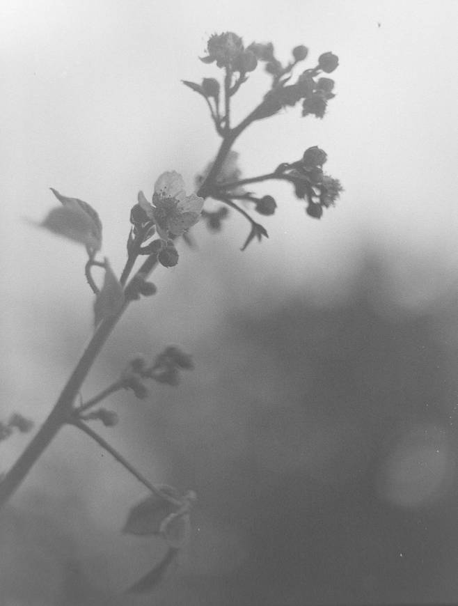 Photos by dstauros and oscarmoroni | Shot with blue filter