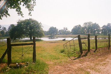 Camera: Canon Autoboy WT28 · Lomography