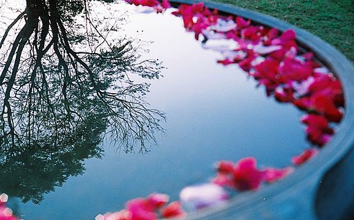 Yashica Electro 35