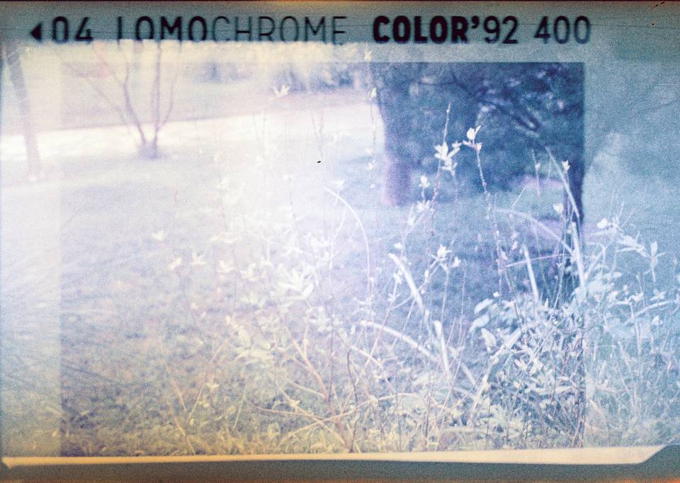 【AWFF 海浪电影周】台下故事：海边的 Lomomatic