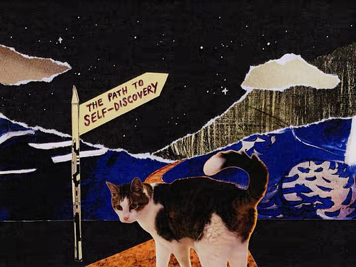 Creators in Focus: Wandering to the Whimsical World of Mixed Media Inside Ameya's Realm