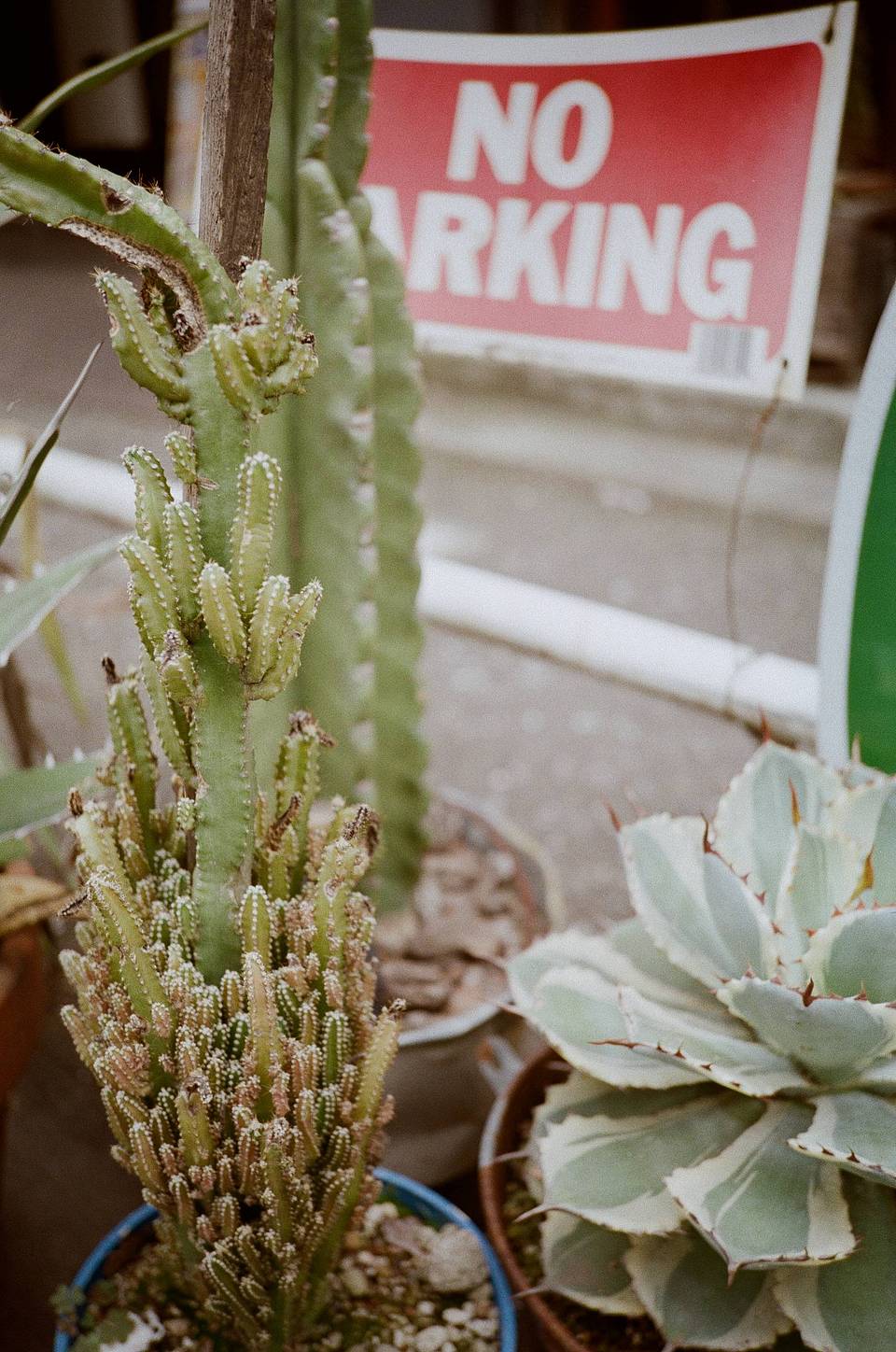Photos by Masato Hirano | Shot with Lomo MC-A 135 全自动随拍胶片相机