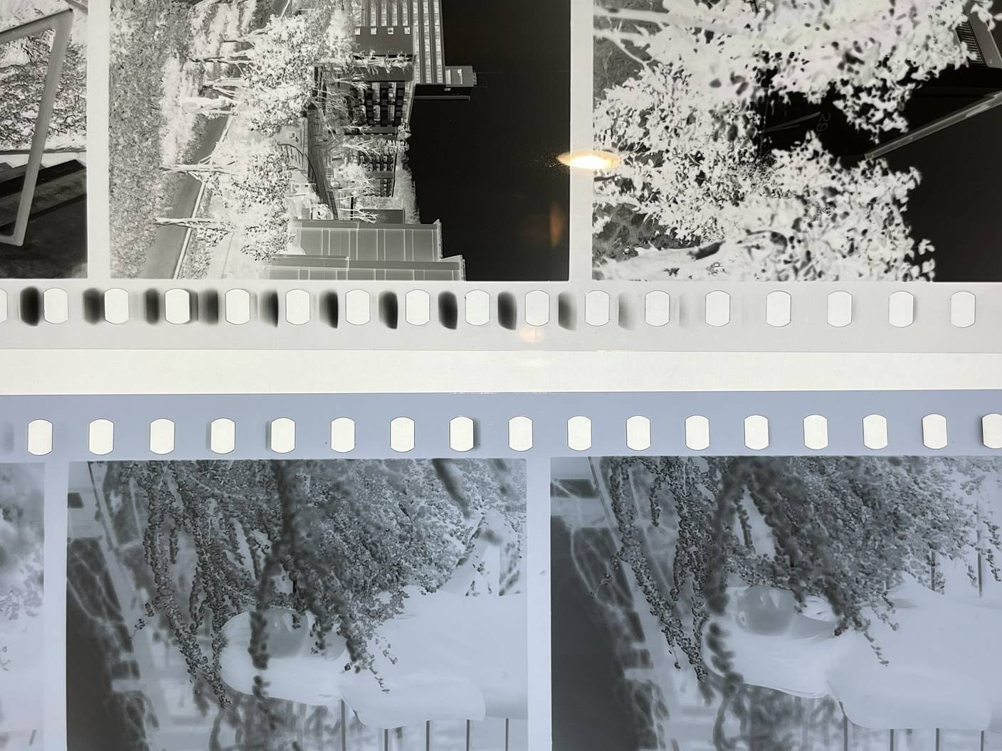 ロモグラフィーの超低感度フィルムの魅力 · Lomography