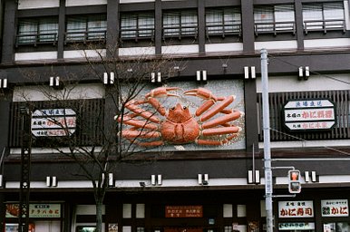 Camera: Minolta Capios 20 · Lomography Camera: Minolta Capios 20 · Lomography