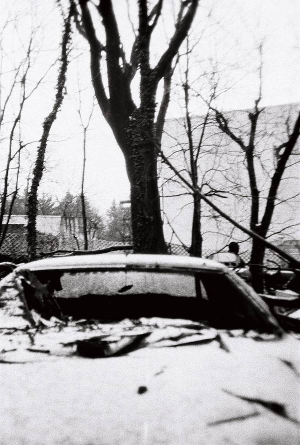 Photo credits: Lomography USA