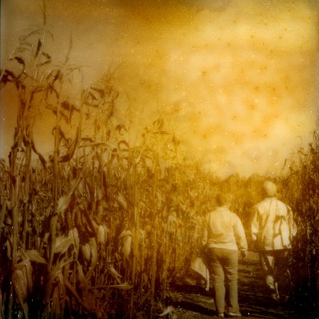 A Year in Square of Frances Beatty