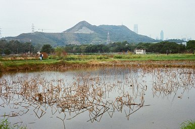 Camera: olympus oz 105r · Lomography