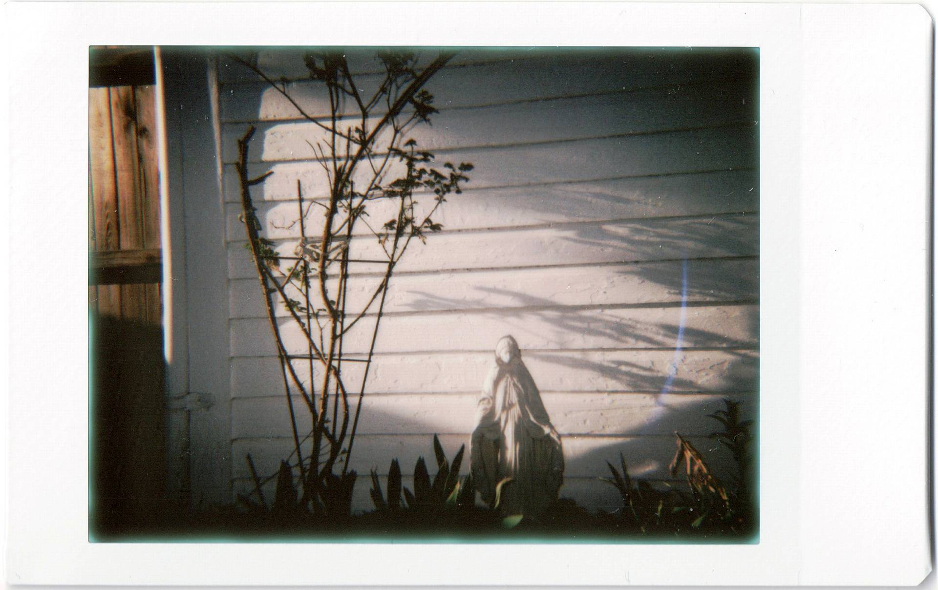Photos by frenchfyl, joecool, brine, lomography