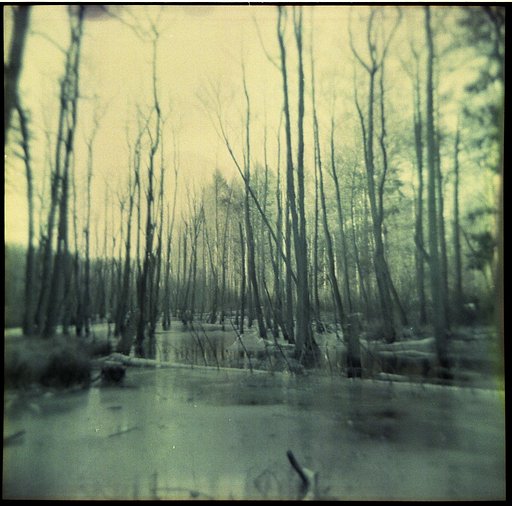 Around the World in Analogue: the Wandlitzsee and the Briesetal
