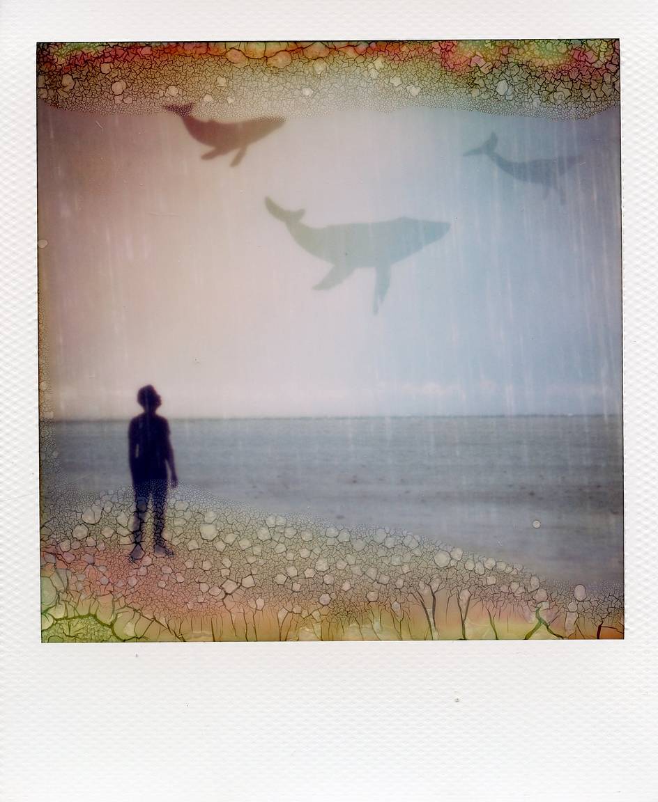 The 12:12 Project - A Global Instant Photography Collective