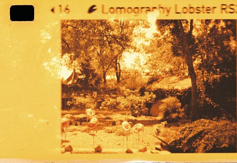 Lomomatic 110 自动玻璃镜头胶片相机连闪光灯 + Lomography Lobster Redscale 110 红调负片胶卷