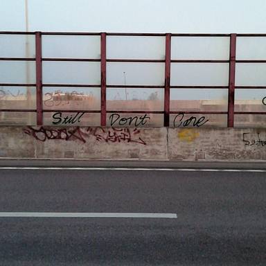 tiiau
