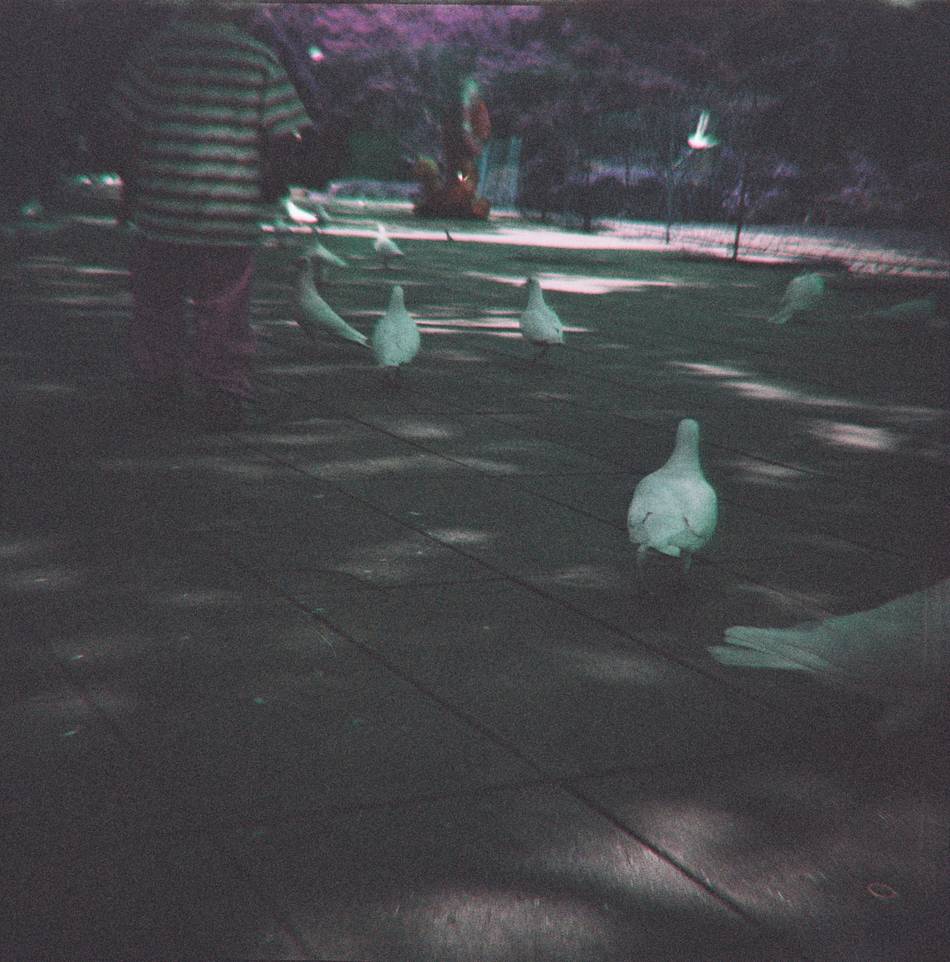 Diana F+ 120 戴安娜胶片相机连闪光灯套装 + LomoChrome Purple ISO 100–400 120 紫调负片－ Pétillant 汽泡特別版