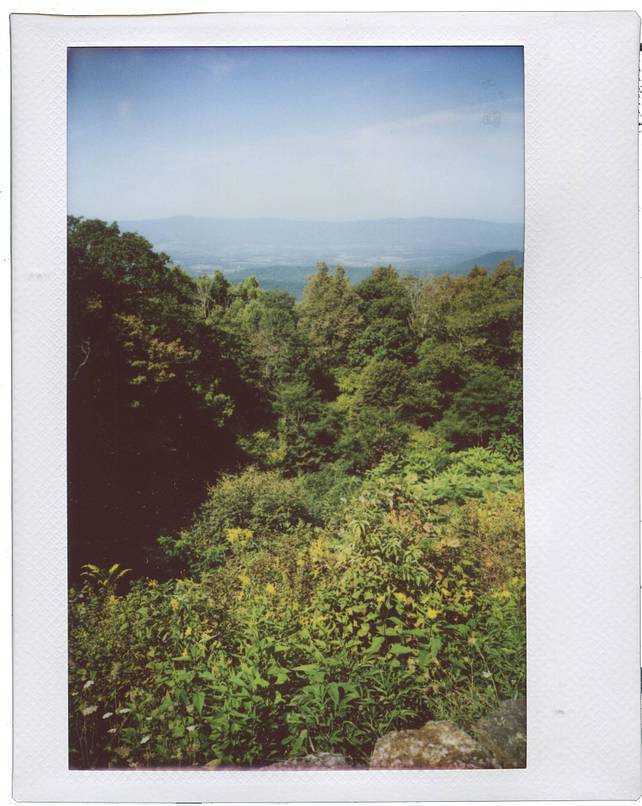 由 Ben Fraternale 使用 Lomo'Instant Wide Glass 拍摄，画面中人物：Anna Katarina, Lauren Fraternale 和 Fern