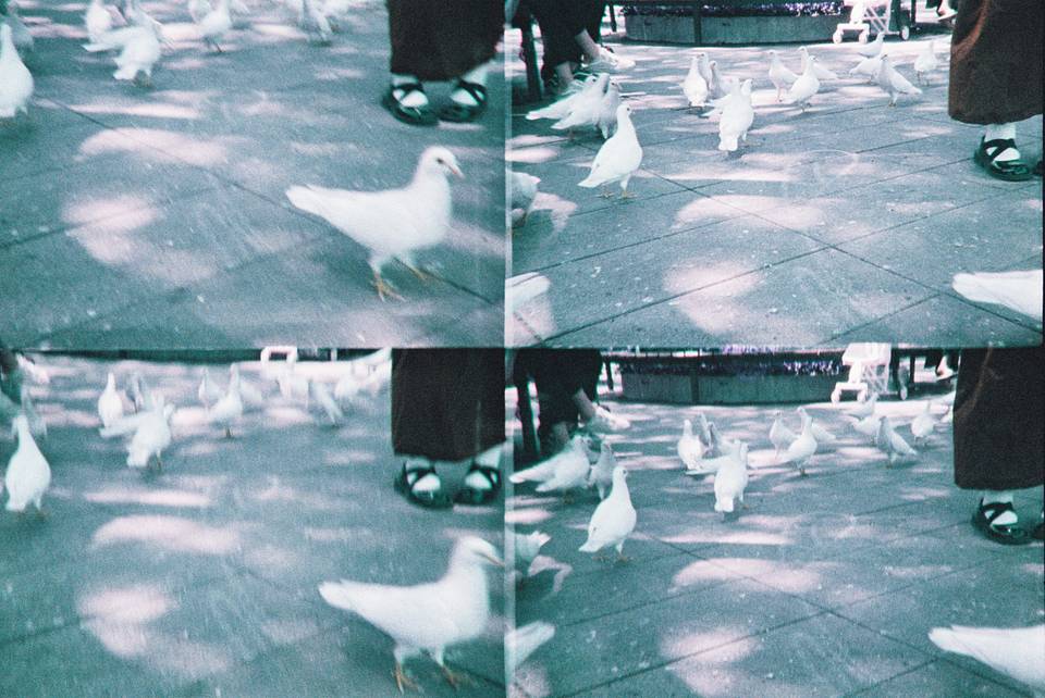 ActionSampler Clear 四格胶片相机 + LomoChrome Purple ISO 100–400 135 紫调负片－ Pétillant 汽泡特別版