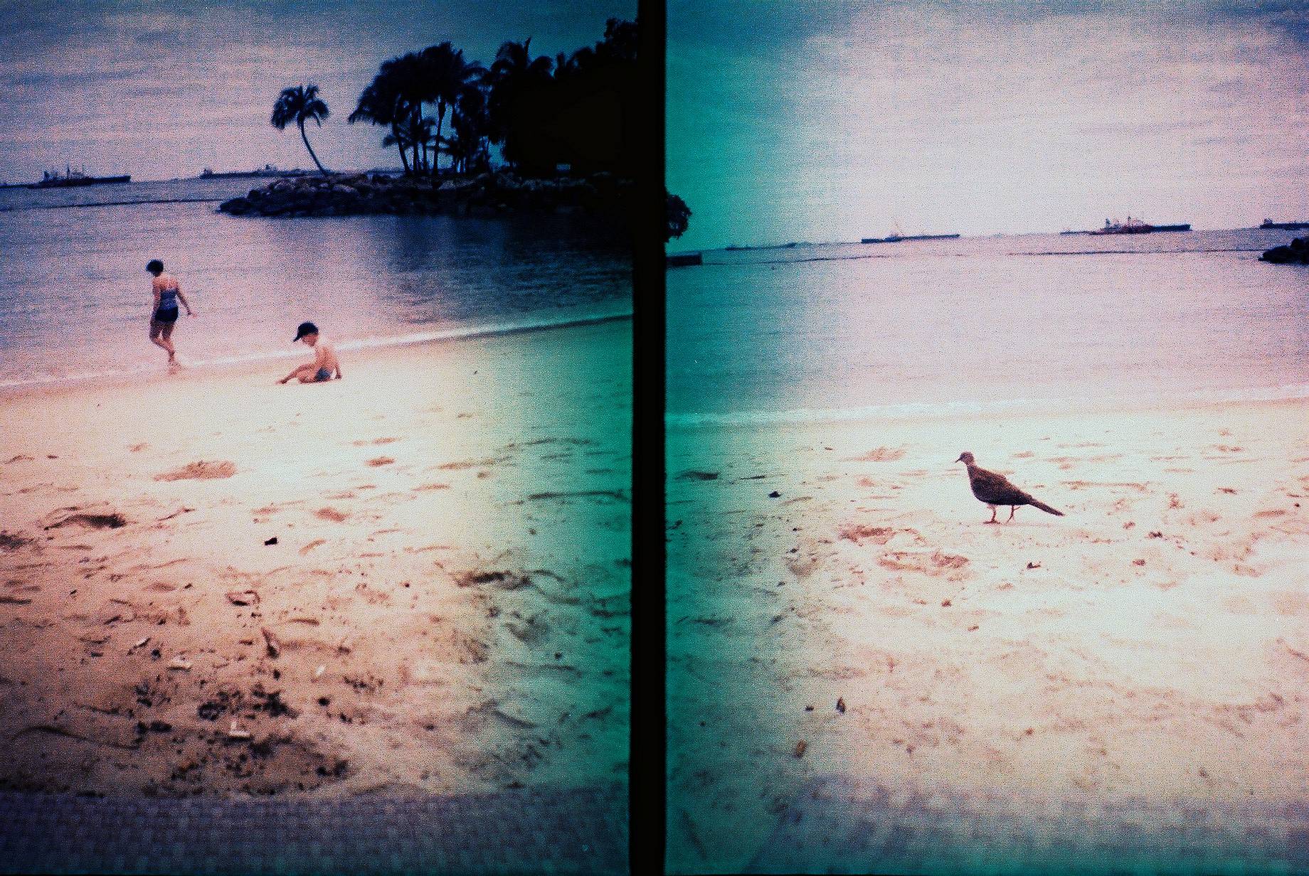 相片由 @rayna with the Diana Mini & Flash Half-frame & Square Camera 提供。