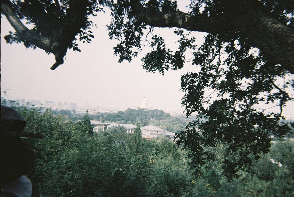 © 瓮婉清 ｜ 使用 Lomography Simple Use 易拍胶片相机（LomoChrome 大都会负片）拍摄