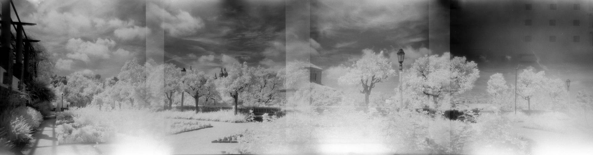 由 @troch and bccbarbosa 以 Holga 120 Pan 及 Holga 120 CFN 拍摄