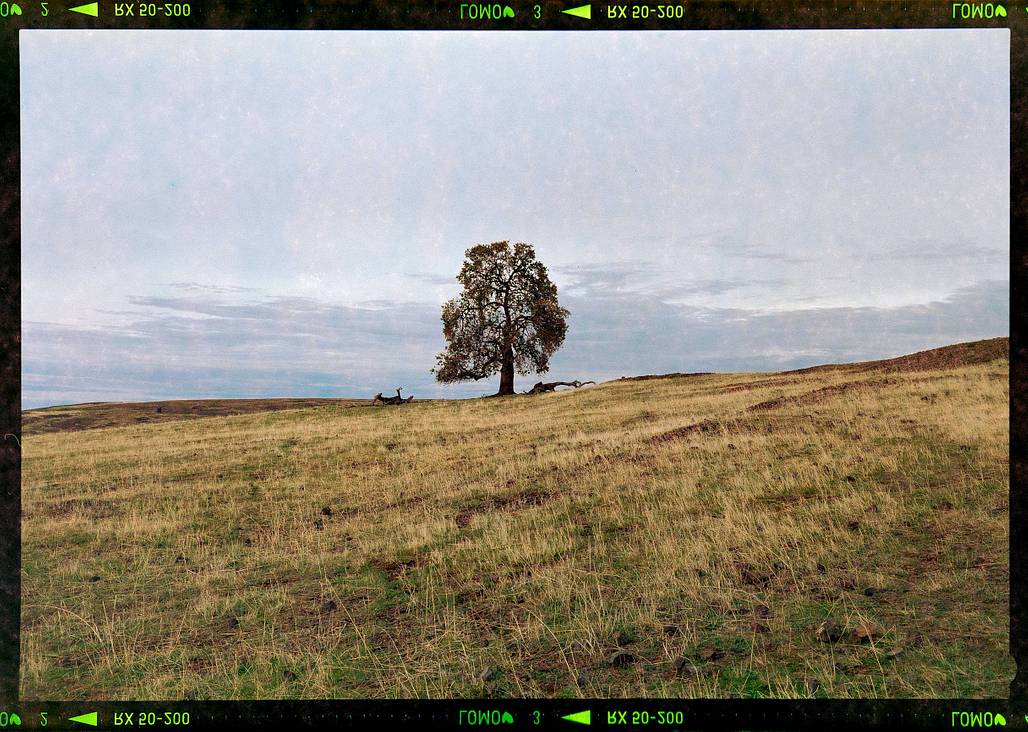 Photos by Brendan Flesher