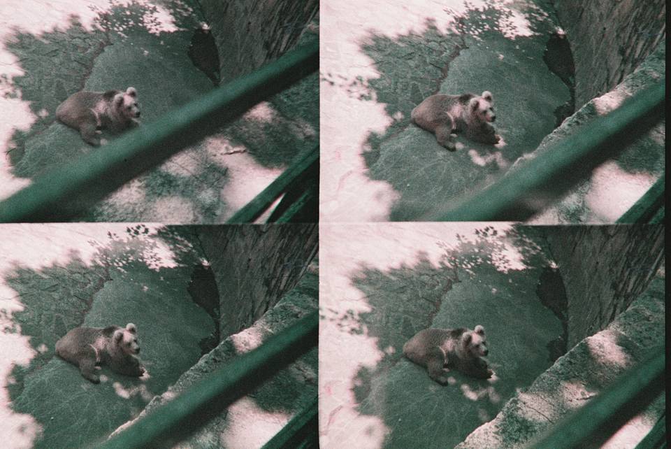 ActionSampler Clear 四格胶片相机 + LomoChrome Purple ISO 100–400 135 紫调负片－ Pétillant 汽泡特別版