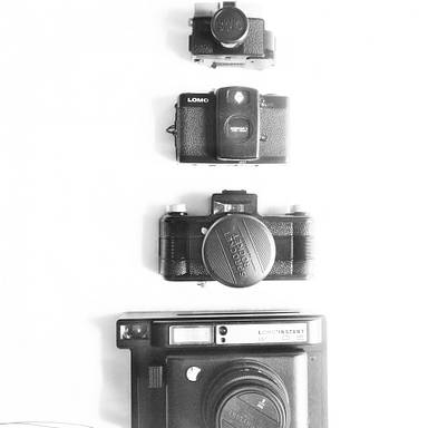 lomoskin