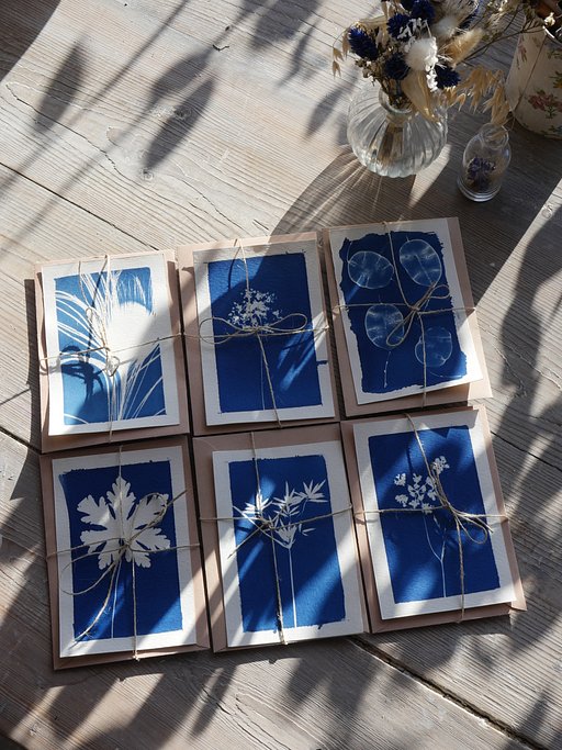LomoWomen : Les Mains Bleues, les cyanotypes de @katemissud