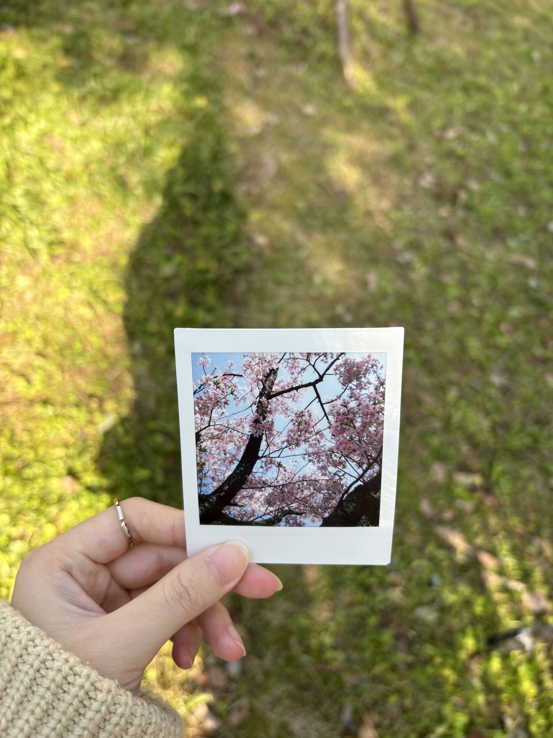 由 © Iris 拍摄