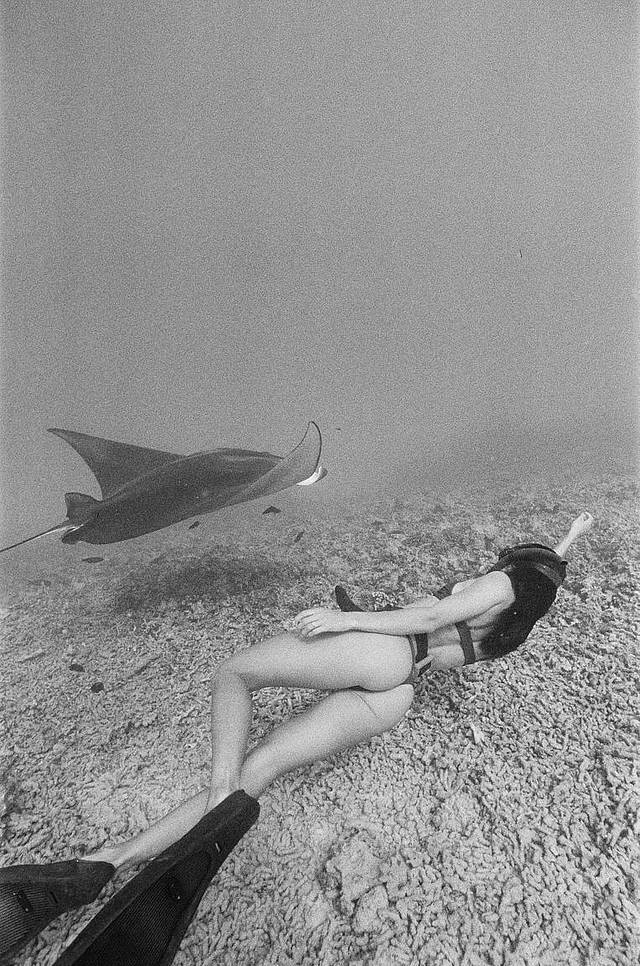 Katharine Kollman 使用 Lomography B&amp;W ISO 400 Berlin Kino 135 柏林电影黑白胶卷 拍摄的照片