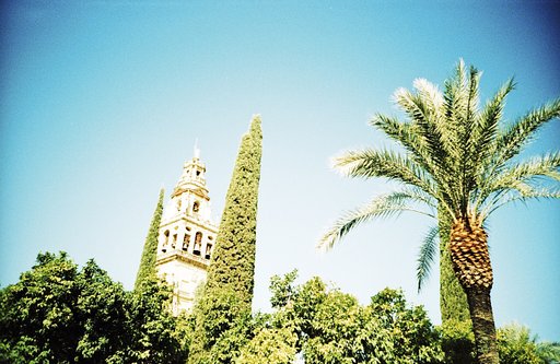 La Mezquita: the Mosque of Cordoba