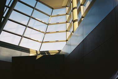 Camera: olympus oz 80s · Lomography